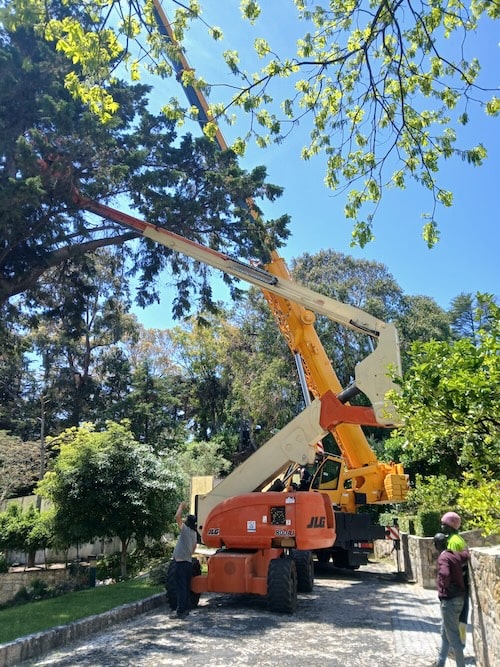 Trabalhos Gruas telescópicas